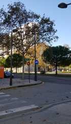 Av. del General Avilés