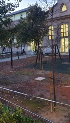 20201118_130952.jpg