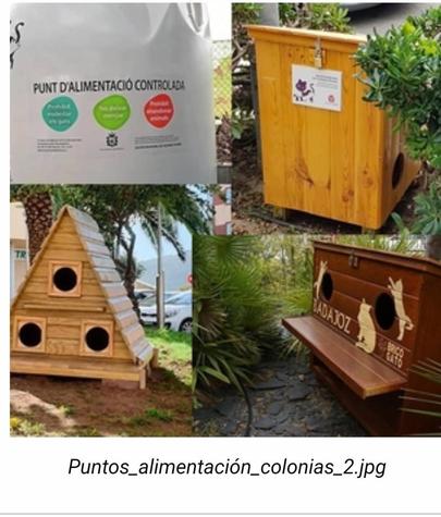 Punto de alimentación felina