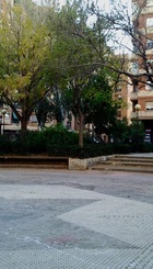 Pza_Cedro.jpg