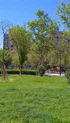 Zona verde