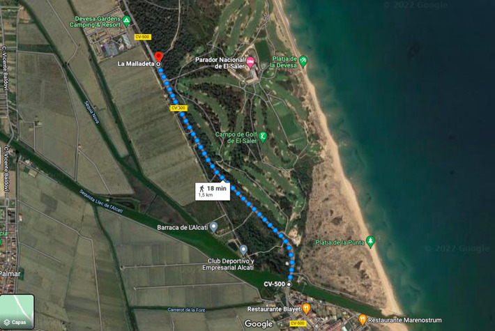 Ruta peatonal