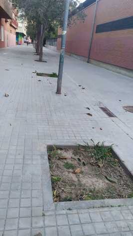Ejemplo, Calle Poeta Blas de Otero