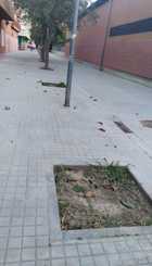 Ejemplo, Calle Poeta Blas de Otero