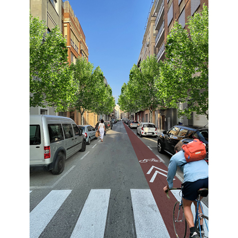 Reverdecer la RaÏosa