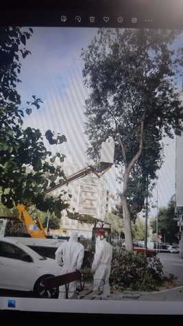 Seguridad_2.jpg Seguridad_2.jpg