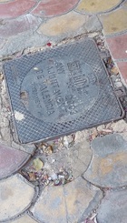 20250522_111140.jpg