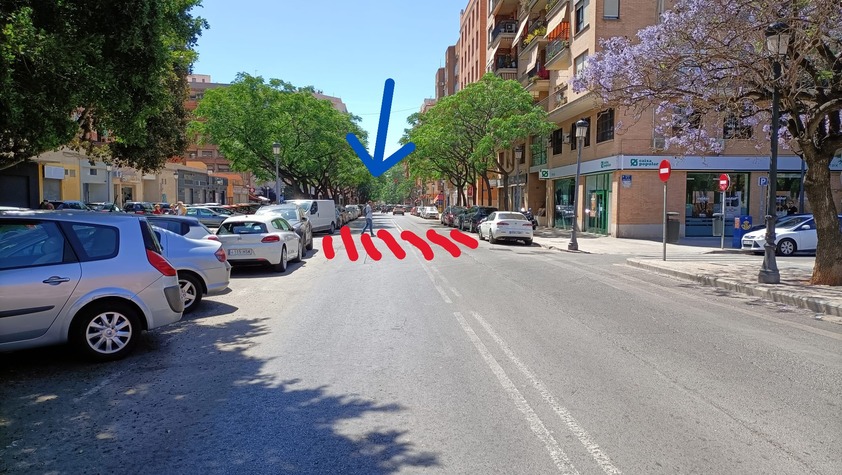 Propuesta paso peatones