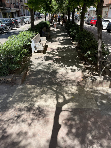 Vista general del paseo