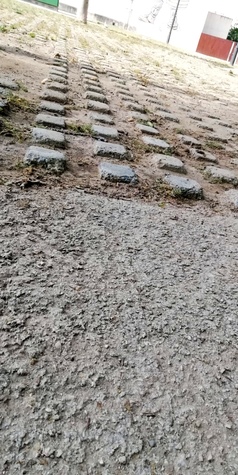 Adoquines y suelo del parque