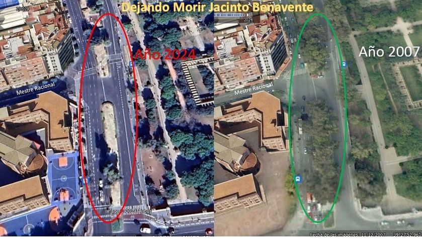2007 vs 2024 pérdida de vegetación