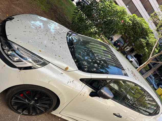 MEDIDAS CONTRA AVES INVASORAS