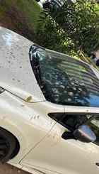 MEDIDAS CONTRA AVES INVASORAS